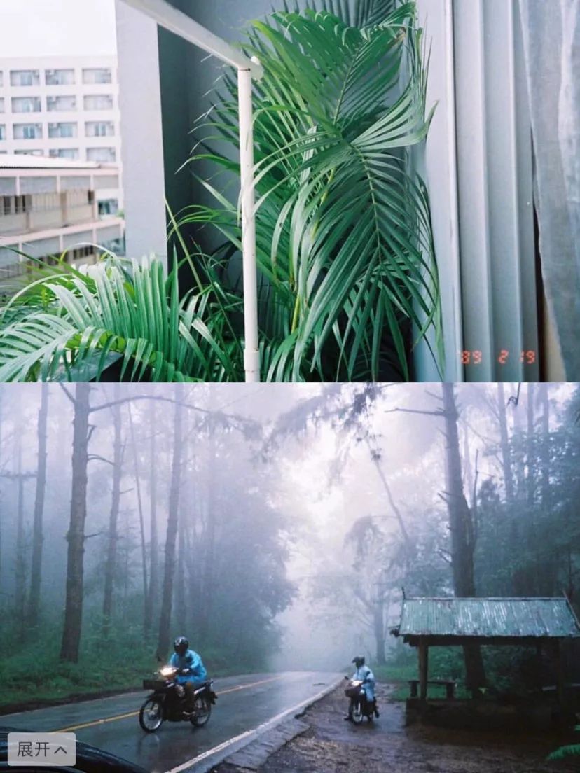 入坑胶片你真的需要一台胶片机吗,为什么不推荐新手买胶片机