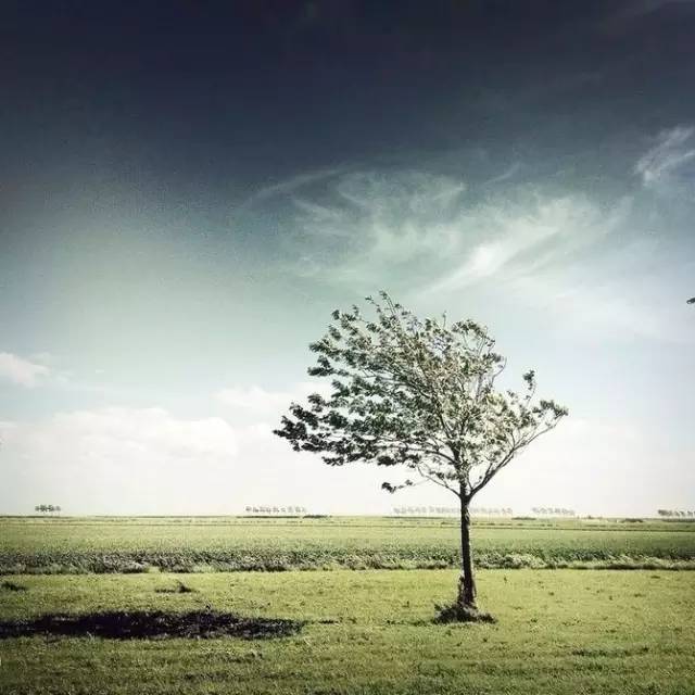 梁实秋生活中的视频,梁实秋论中年