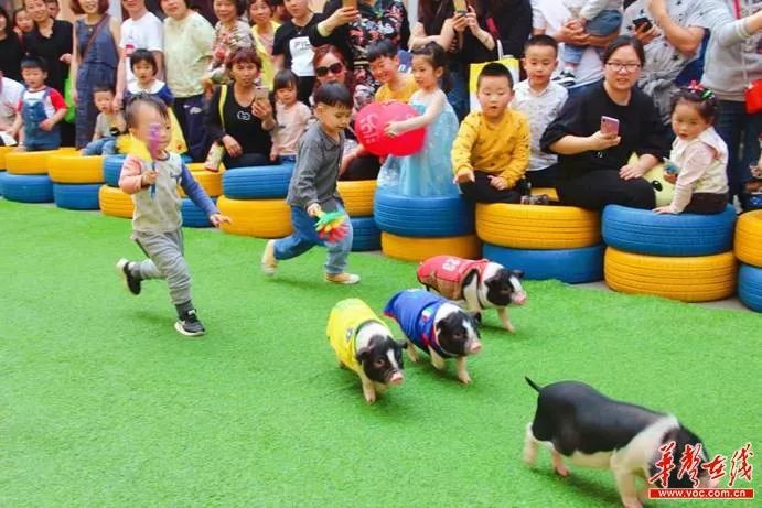 8大主题活动等你来赢,十大活动主题