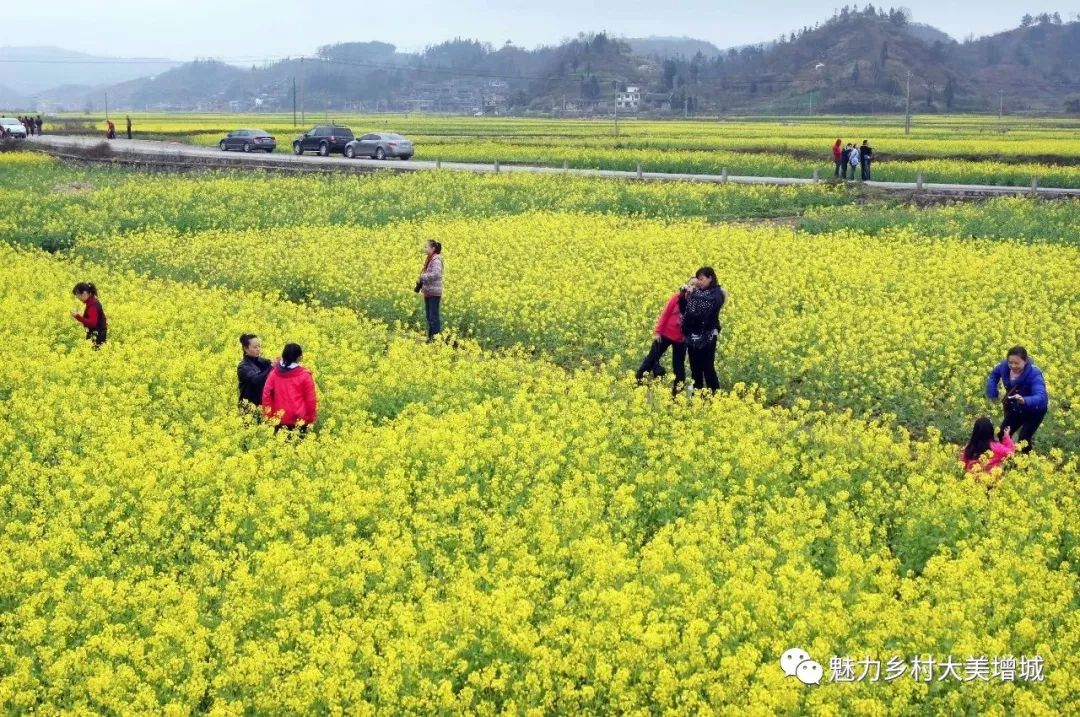 抓住假期小尾巴打卡最美网红地,抓住国庆假期的尾巴继续打卡