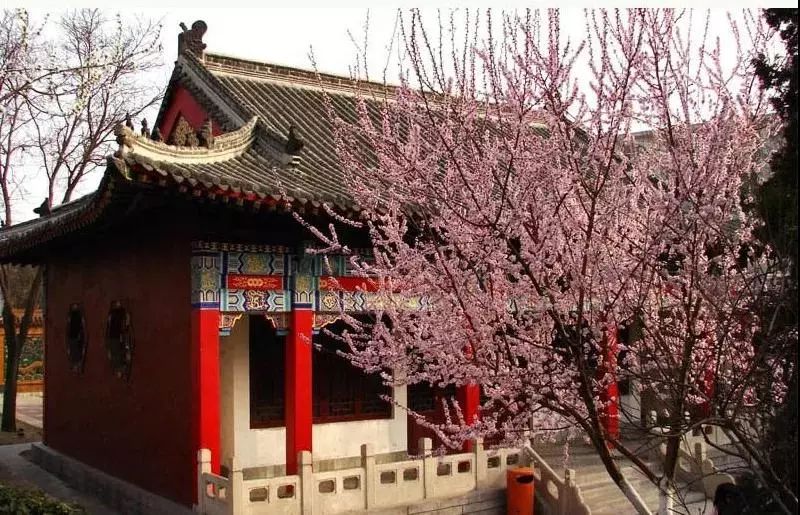 天津免费18个公园,城事天津