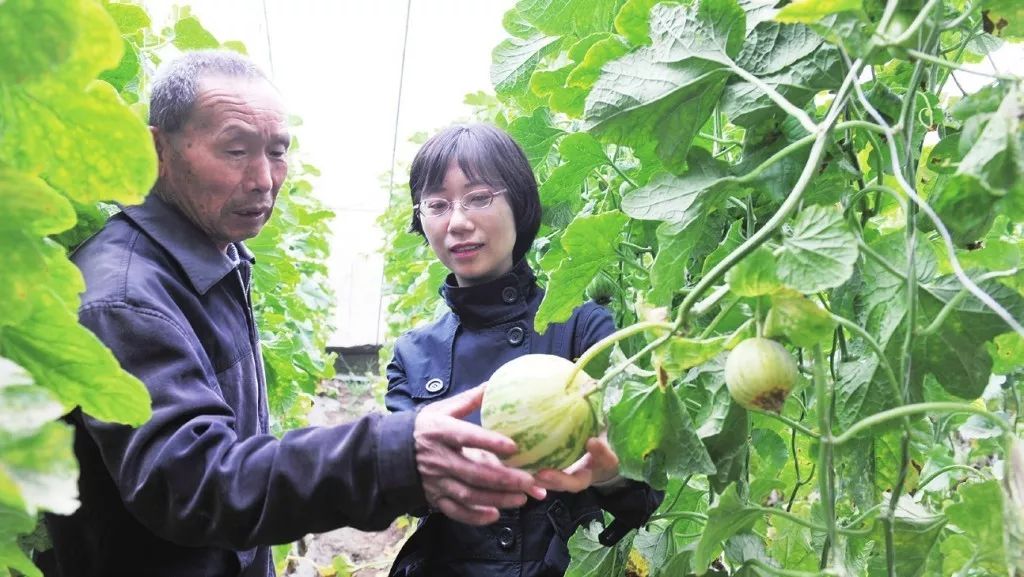 在药监岗位上挥洒青春的年轻人,五四青年和医务工作者