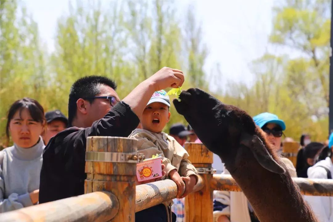 东胜同城转让信息发布,东胜区个人出售信息