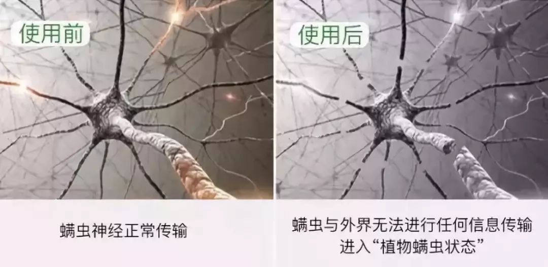 不用洗床单晒被子怎么除螨虫,螨虫去除妙招不用花露水