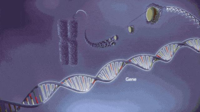 住院后突发中风,浙江医生突发中风