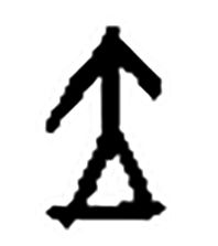 今日立夏愿我们都如夏花般绚烂,今日立夏愿我生如夏花