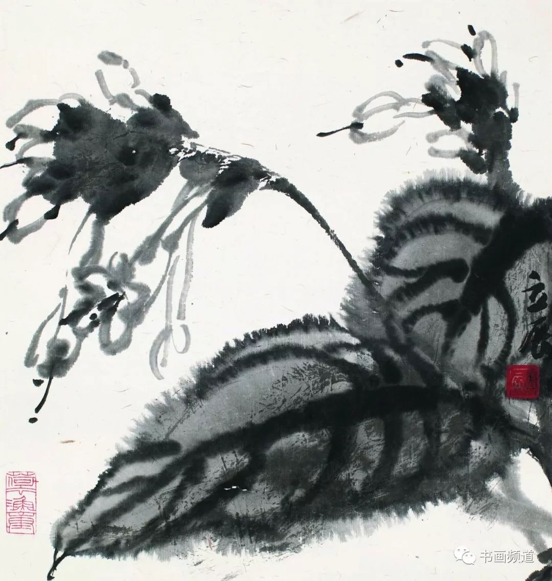 张立辰花鸟画教学系列视频,画家张立辰国画写意作品欣赏