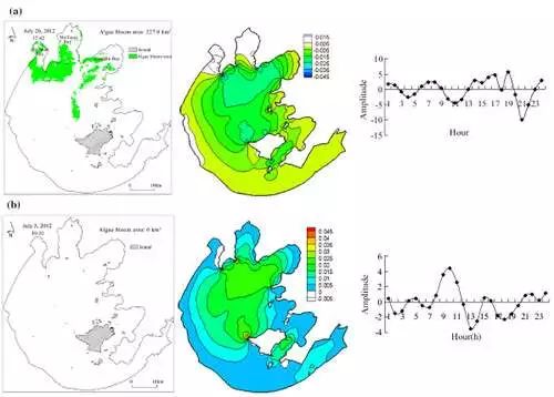 蓝藻水华示意图,蓝藻水华会影响鱼儿开口吗