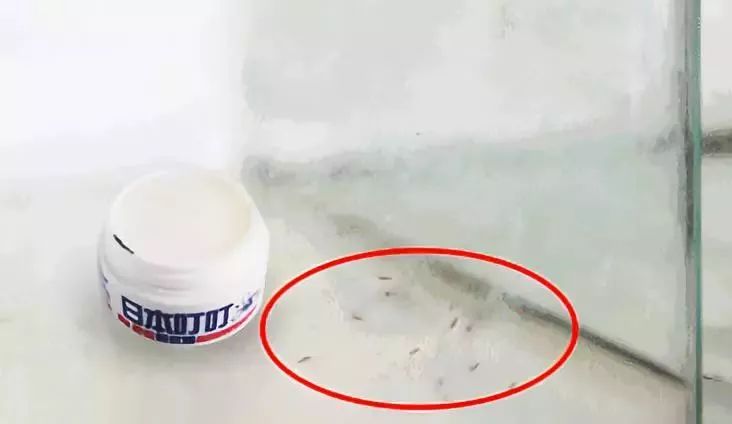 日本防蚊子膏,日本蚊虫叮咬止痒膏红皮