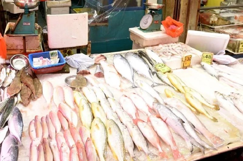 香港人以后杀鱼都要“安乐死”了？否则犯法！？