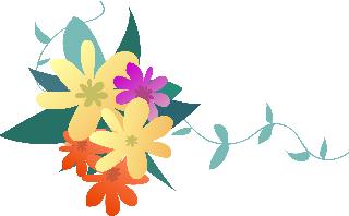 怎么用化妆品监管查护肤品的真假,在官网查询化妆品是否备案的步骤