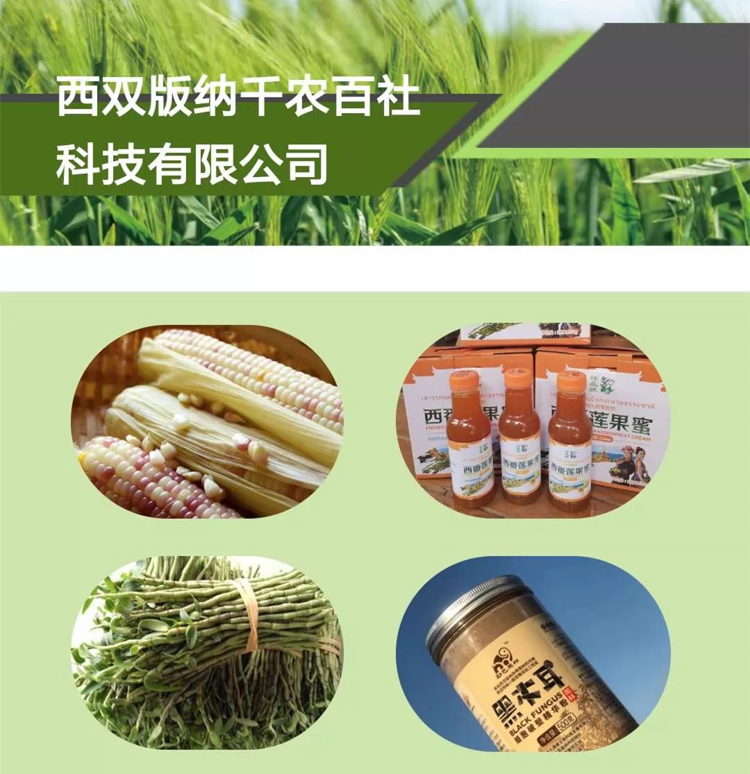 松江十大特色菜,松江哪里有好吃的地方