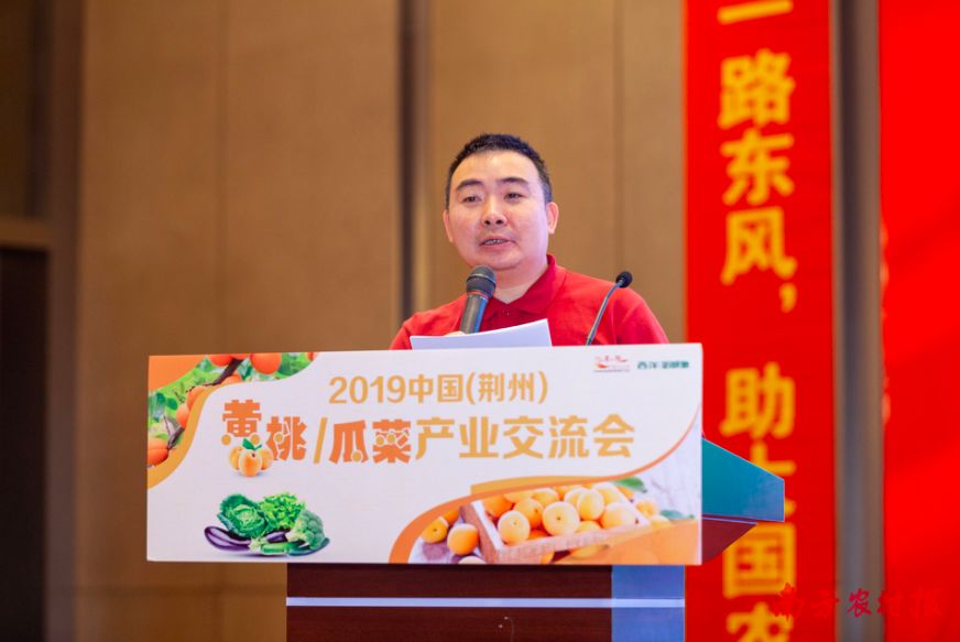 黄桃病虫害的图片及防治方法,黄桃无公害优质丰产栽培管理技术