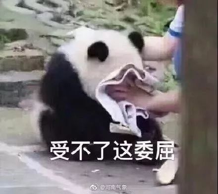 最近过半中国人都在噗噗噗呸呸，一开门，心里飘过一万头羊驼…