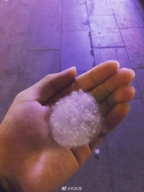 最近过半中国人都在噗噗噗呸呸，一开门，心里飘过一万头羊驼…