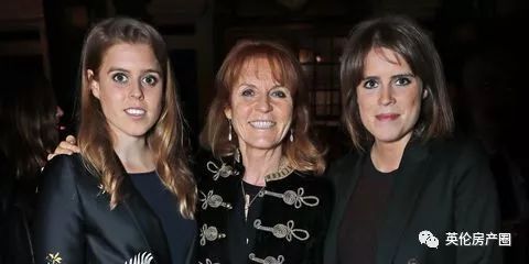 梅根王妃二胎生孩子,梅根王妃生下男孩儿女孩儿