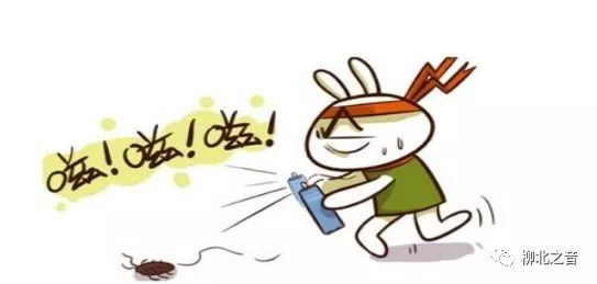 卫生健康安全知识,夏季安全小常识