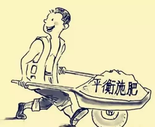 锌肥和氨基酸水溶肥有啥区别,锌腐酸肥料好还是腐植酸肥料好