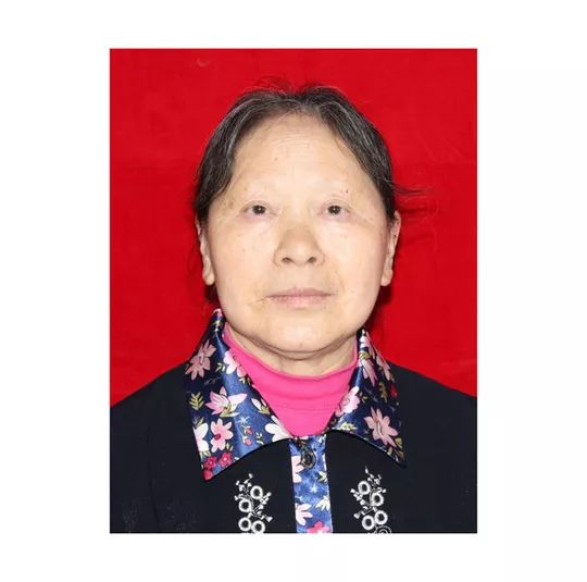 四川省道德模范候选人公示,四川道德模范最新公示