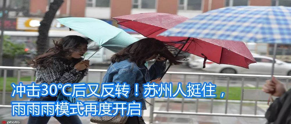 东山枇杷价格最新行情,东山枇杷今日价格