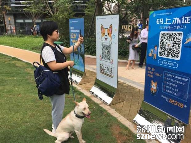 深圳养犬不符合受理标准,深圳养狗没养犬证罚多少