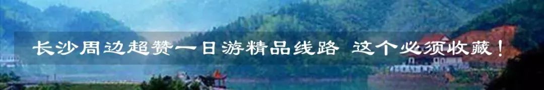 棉柔巾100%纯棉测评,什么牌子的棉柔巾好用实惠