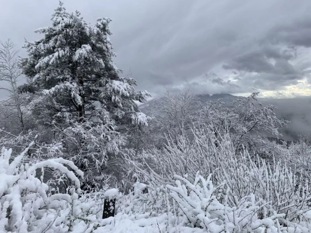 2019环富士山超级越野赛,环富士山越野赛2023冠军