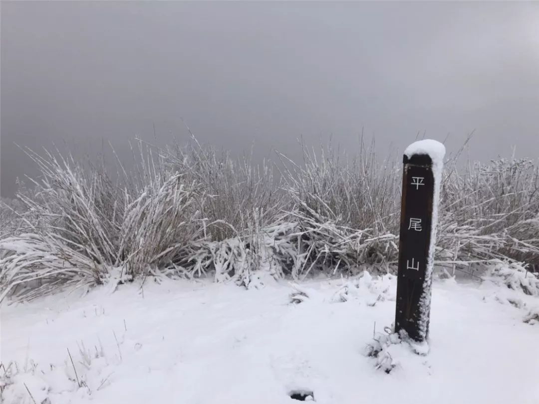 2019环富士山超级越野赛,环富士山越野赛2023冠军