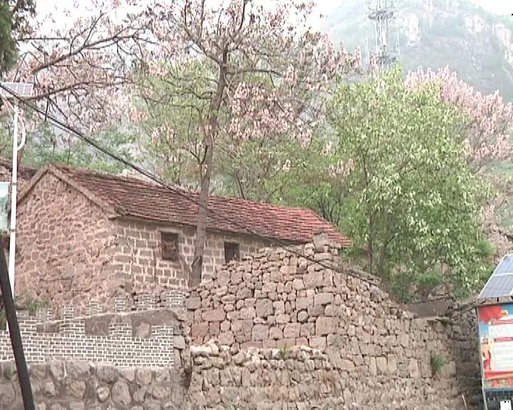 乡村振兴巡礼工程,乡村振兴整合产业资源