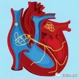 房颤开始应用华法林的注意事项,常用华法林应注意什么