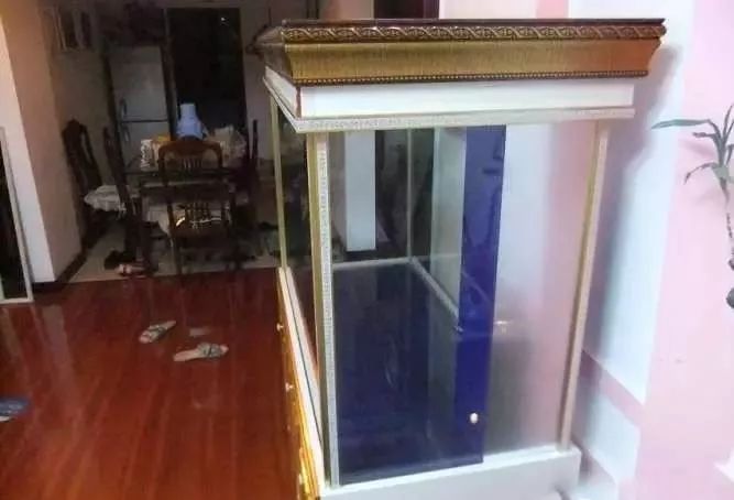 1.5米生态缸的用料及造景,1.2米的缸适合做什么缸