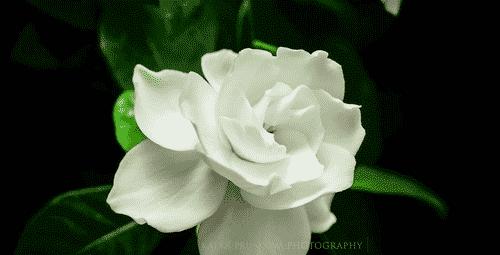 近期觉得又闷又湿？不如来一份“话”梅！