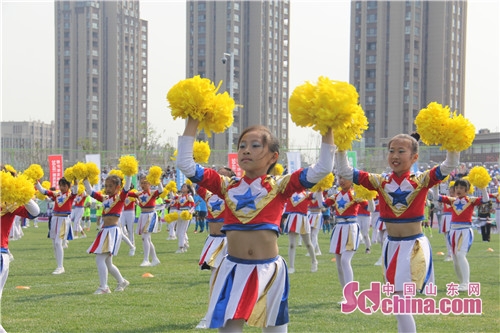 青岛白沙湾足球基地订场地,青岛白沙河足球基地比赛
