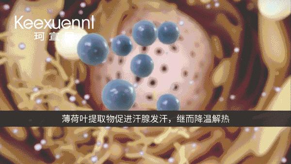 麻范儿好物|和投保美腿3000万的莫文蔚比，刘亦菲、阿娇输在了一条裤子上