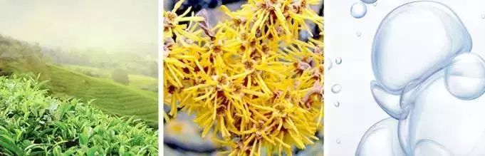 怎么把脸上的黑头清掉,去黑头推荐全脸