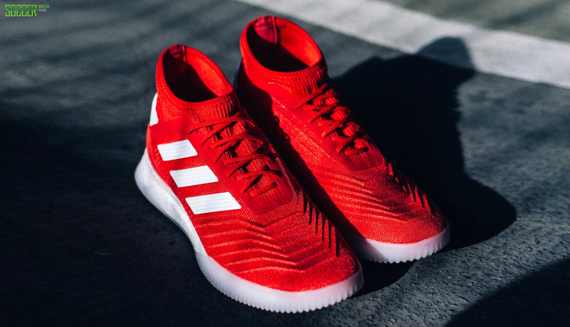 闃胯开杈炬柉predator19.2,闃胯开杈炬柉predator19.1tr