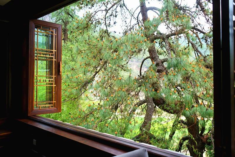 从丽江到茨中:菜场买恶魔果实、修道院酿酒士、高原油泼面……开启了无数的第一次|香格里拉环线(上)