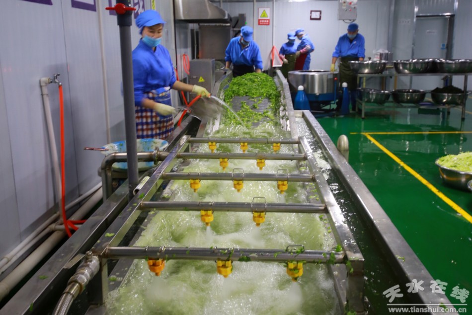 甘肃武山苦苣酸菜浆水出售,武山酸菜销售