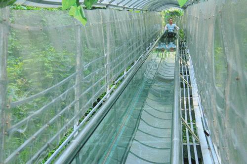 佛山凉快一点景点,佛山附近凉快的地方避暑胜地