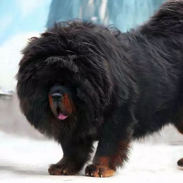 把我设置成不可见了是什么心态,为什么有人把朋友圈设成三天可见