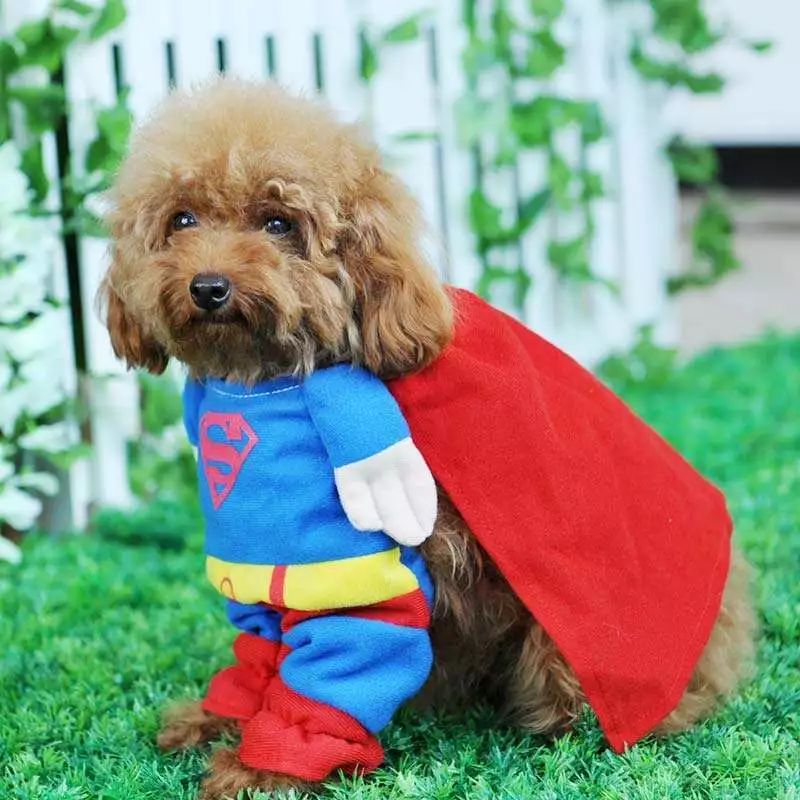 把我设置成不可见了是什么心态,为什么有人把朋友圈设成三天可见