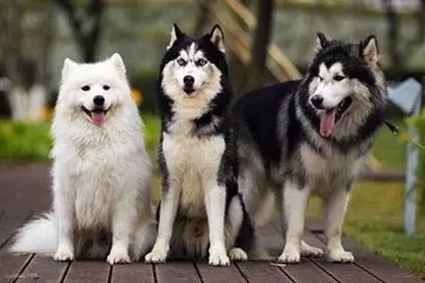 朋友圈设成三天可见代表着什么,有时候把朋友圈设成三天可见