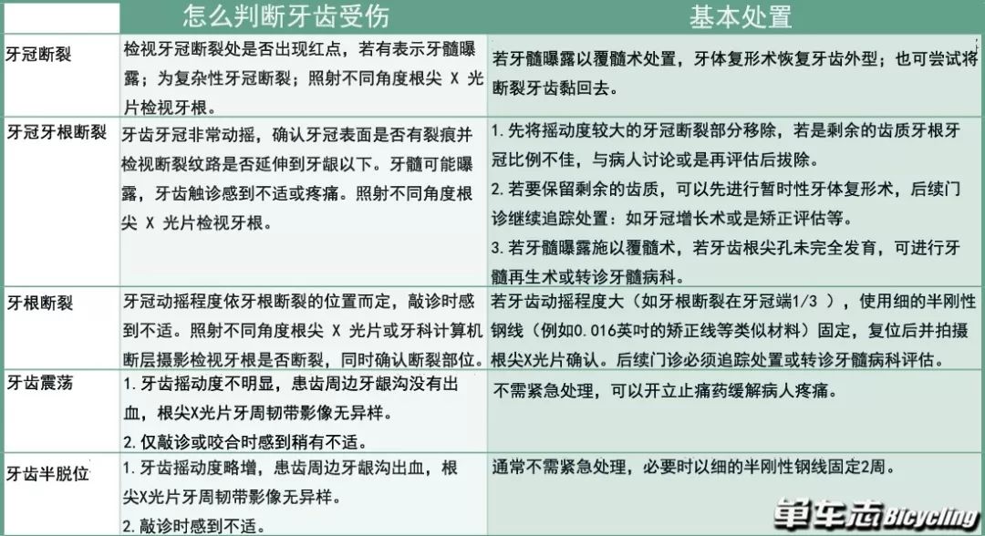 骑车摔伤牙齿松动怎么办,骑车磕到牙齿怎么办