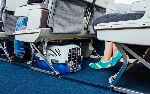 夏季可以陪你上山下海的鞋子,出游必备舒适鞋款轻软不累脚