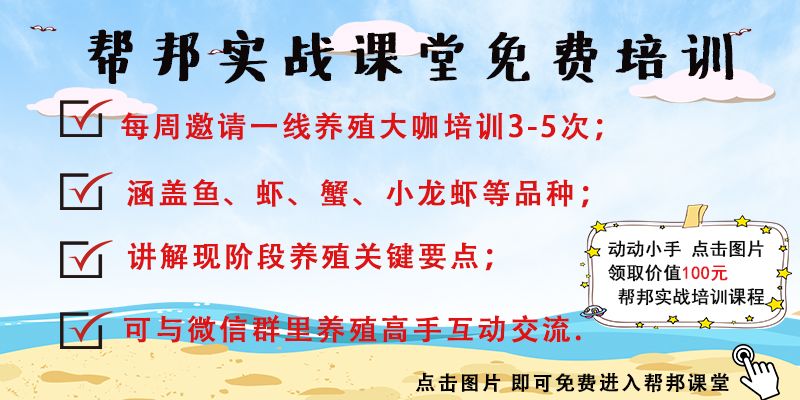 你不知道的螃蟹知识,淡水养殖螃蟹