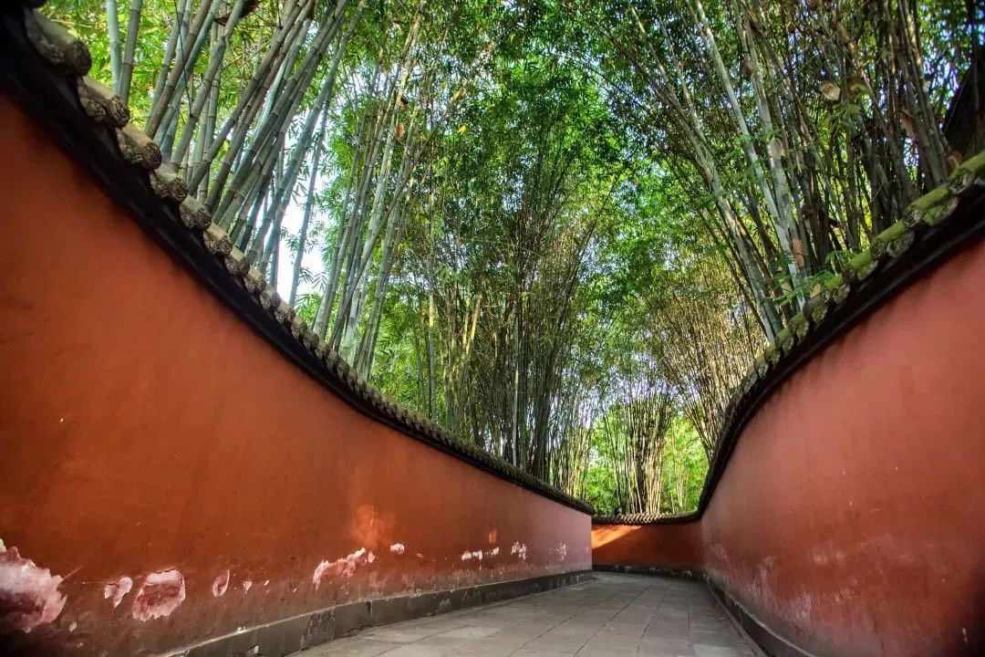 成都有一千种样子，我挑了其中的四种给你