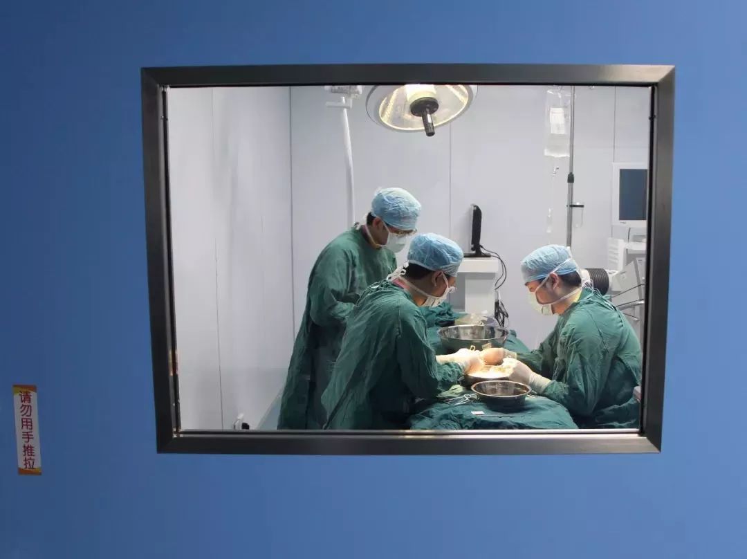 44岁男子尿血,儿童尿血吃什么食物好得快