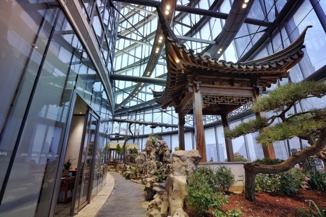 上海最高楼云端上的风景,在上海最高的楼俯瞰风景