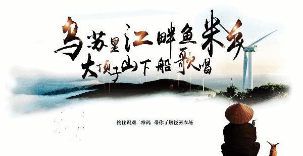 饶河农场幼儿园,饶河向阳幼儿园