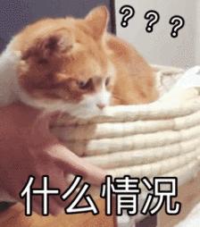 “胆子真大！”医生揭秘全网追捧的“明星药”，看看你家有么？